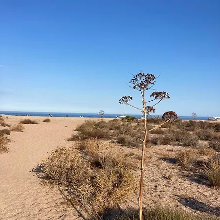 Les Lofts De Sainte-lucie-de-porto-vecchio Apartment *