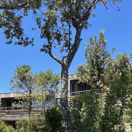 Les Lofts De Sainte-lucie-de-porto-vecchio *
